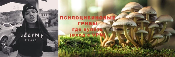 ГАЛЛЮЦИНОГЕННЫЕ ГРИБЫ Аркадак