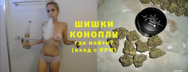 ГАЛЛЮЦИНОГЕННЫЕ ГРИБЫ Аркадак