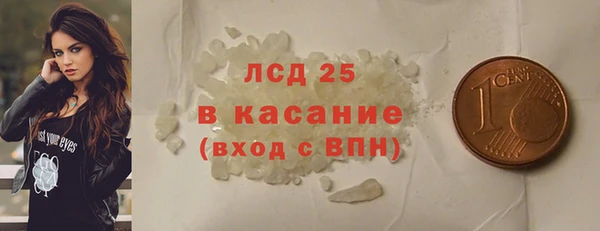 ГАЛЛЮЦИНОГЕННЫЕ ГРИБЫ Аркадак