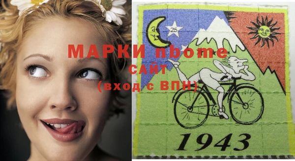 ГАЛЛЮЦИНОГЕННЫЕ ГРИБЫ Аркадак