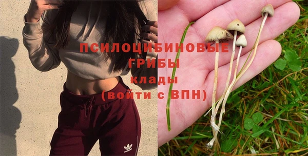 кокаин перу Арсеньев