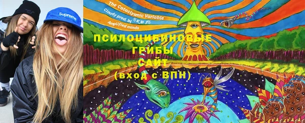 метадон Армянск