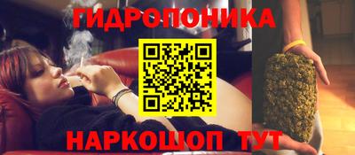 индика Пыть-Ях