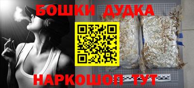 индика Пыть-Ях