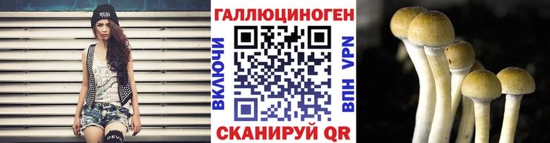 mega сайт  маркетплейс наркотические препараты  Светлоград  Галлюциногенные грибы Psilocybe  закладки 