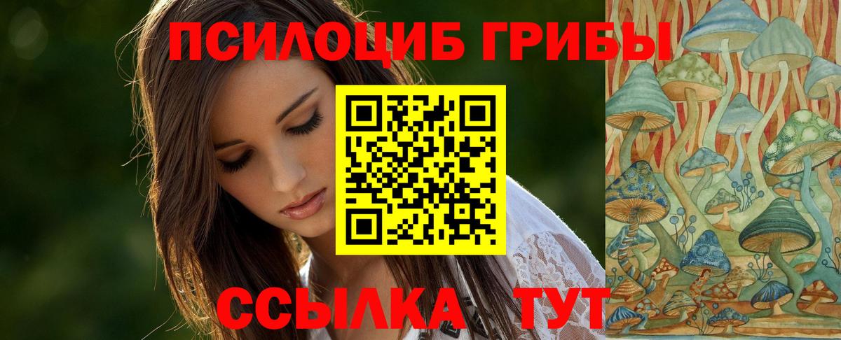 Псилоцибиновые грибы MAGIC MUSHROOMS  Вход с VPN  Светлоград 